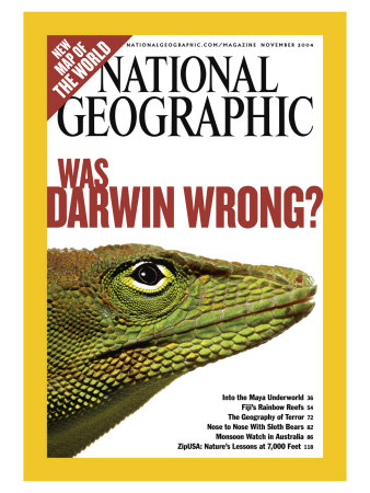 Cover Of The November, 2004 Issue Of National Geographic Magazine by Robert Clark Pricing Limited Edition Print image