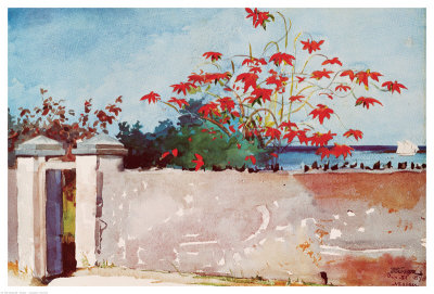 Wall, Nassau, C.1898 by Winslow Homer Pricing Limited Edition Print image