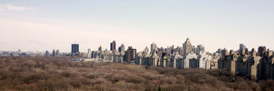 Central Park East, No. 1 by Miguel Paredes Pricing Limited Edition Print image