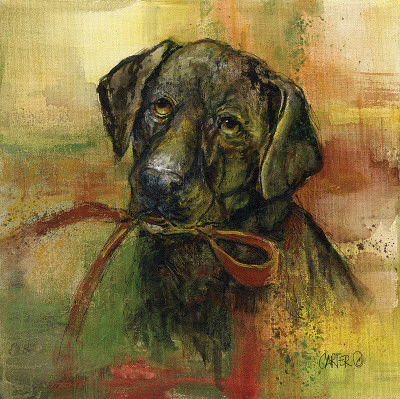 Black Lab by Jamie Carter Pricing Limited Edition Print image