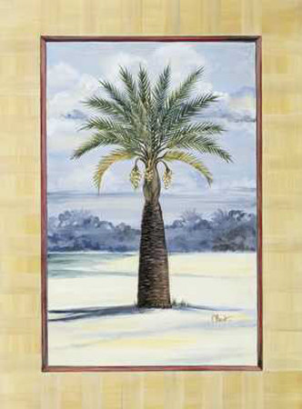 Canary Island Palm by Paul Brent Pricing Limited Edition Print image
