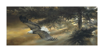 Freedom With Verse by Duane Geisness Pricing Limited Edition Print image