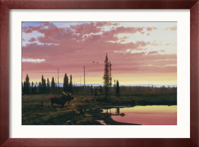 Northern Sunset by Michael Coleman Pricing Limited Edition Print image