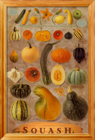 Squash-Natural by Mark Miller Pricing Limited Edition Print image