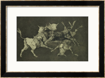 Folly Of The Bulls, From The Follies Series, Circa 1815-24 by Francisco De Goya Pricing Limited Edition Print image
