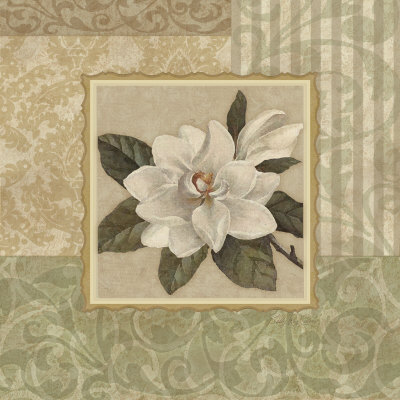 Southern Magnolia Ii by Sally Ray Cairns Pricing Limited Edition Print image