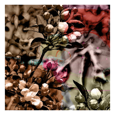 Rainbow Flowers Xxi by Miguel Paredes Pricing Limited Edition Print image