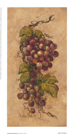 Vintage Grapevine Ii by Barbara Mock Pricing Limited Edition Print image