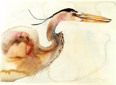 Great Blue Heron by Carol Grigg Pricing Limited Edition Print image