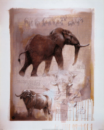 Elephant by Kim Donaldson Pricing Limited Edition Print image
