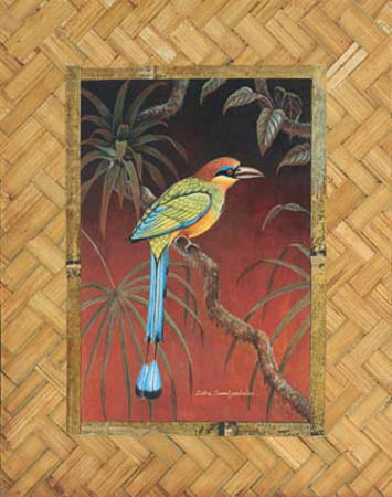 Motmot I by Debra Swartzendruber Pricing Limited Edition Print image