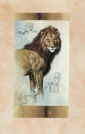 Lion by Judy Gibson Pricing Limited Edition Print image
