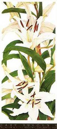 White Lilies by Gary Bukovnik Pricing Limited Edition Print image