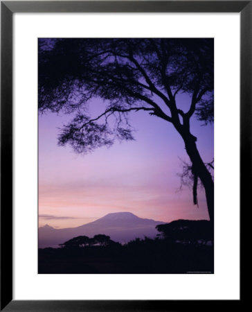 Sunrise, Mount Kilimanjaro, Amboseli National Park, Kenya, East Africa, Africa by David Poole Pricing Limited Edition Print image