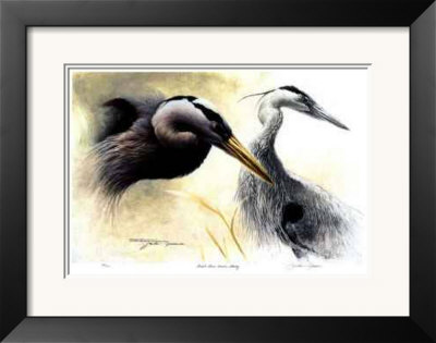 Great Blue Heron Study by Michael Dumas Pricing Limited Edition Print image