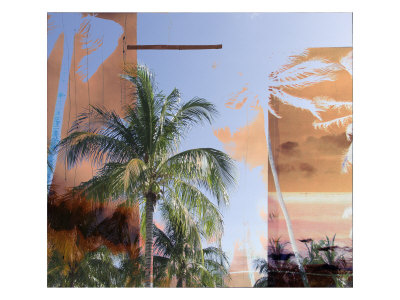 Tropical Palms Ii by Miguel Paredes Pricing Limited Edition Print image