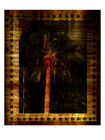 Night Palms Ii by Miguel Paredes Pricing Limited Edition Print image