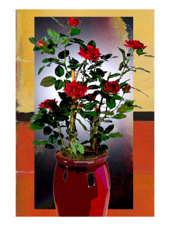 Rose In A Vase Ii by Miguel Paredes Pricing Limited Edition Print image
