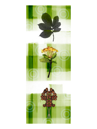 Panels Xi by Miguel Paredes Pricing Limited Edition Print image