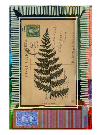 Fern Ii by Miguel Paredes Pricing Limited Edition Print image