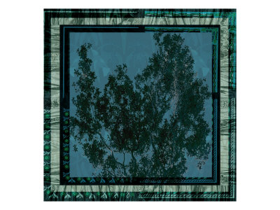 Tree Frame I by Miguel Paredes Pricing Limited Edition Print image