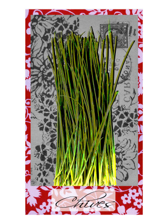 Chives by Miguel Paredes Pricing Limited Edition Print image