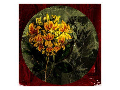 Flower Iv by Miguel Paredes Pricing Limited Edition Print image