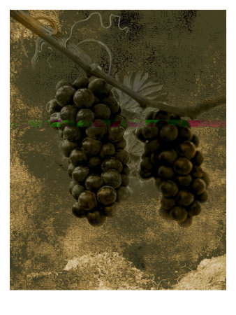Grape Iv by Miguel Paredes Pricing Limited Edition Print image