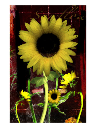 Sunflower Ii by Miguel Paredes Pricing Limited Edition Print image