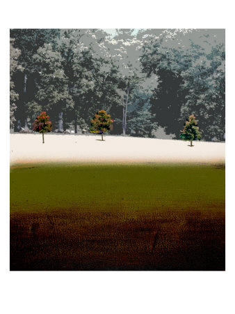 Snowy Forest by Miguel Paredes Pricing Limited Edition Print image