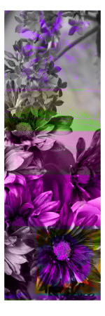 Floral Panel Iv by Miguel Paredes Pricing Limited Edition Print image