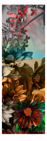Floral Panel V by Miguel Paredes Pricing Limited Edition Print image