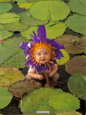 Waterlily by Anne Geddes Pricing Limited Edition Print image