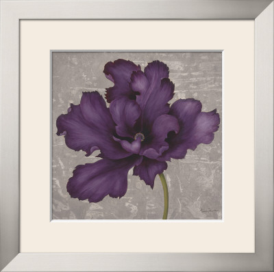 Black Plum Ii by Ariane Martine Pricing Limited Edition Print image