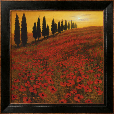 Poppies by Steve Thoms Pricing Limited Edition Print image