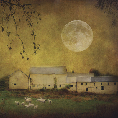 Sheep Under A Harvest Moon by Dawne Polis Pricing Limited Edition Print image