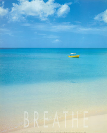 Blue Seas Of Barbados by Larry Ulrich Pricing Limited Edition Print image