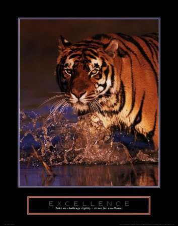 Excellence: Bengal Tiger by Stuart Westmoreland Pricing Limited Edition Print image
