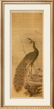 Peacock by Yanagisawa Kien Pricing Limited Edition Print image