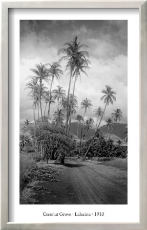 Coconut Grove, Lahaina, 1910 by Ray Jerome Baker Pricing Limited Edition Print image