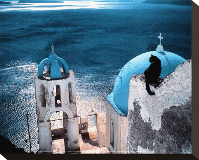 Chat En Grece by Hans Silvester Pricing Limited Edition Print image