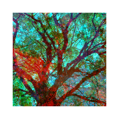 Vegetaux 20, 2012 by Nicolas Le Beuan Benic Pricing Limited Edition Print image