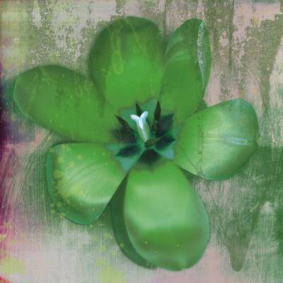 Tulip Fresco (Green) by Erin Clark Pricing Limited Edition Print image