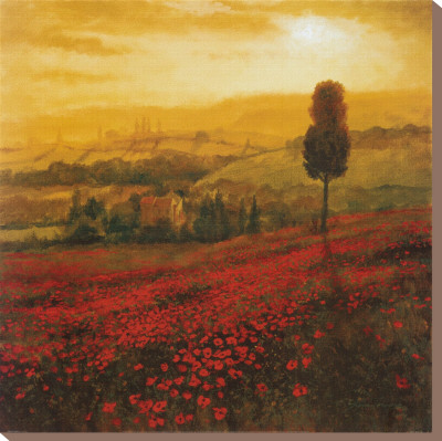 Shades Of Poppies by Steve Thoms Pricing Limited Edition Print image