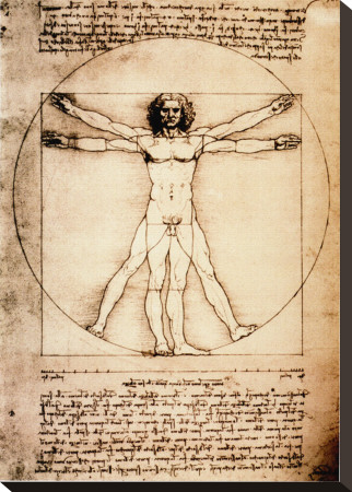 Vitruvian Man, C.1492 by Leonardo Da Vinci Pricing Limited Edition Print image