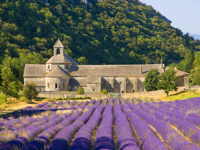 Cistercian Monastery Of Senanque Beside Lavender Field, Provence Region, Gordes, France by Jim Zuckerman Pricing Limited Edition Print image