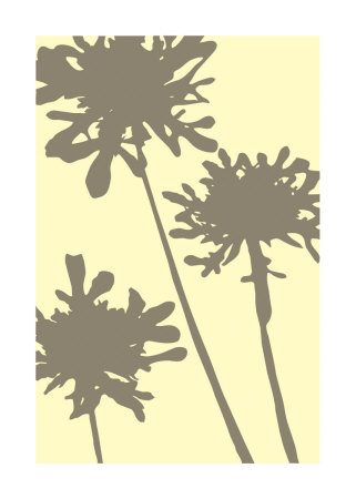 Pompom Brule by Denise Duplock Pricing Limited Edition Print image