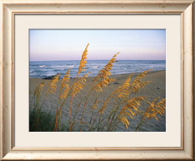 Beach Scene With Sea Oats by Steve Winter Pricing Limited Edition Print image