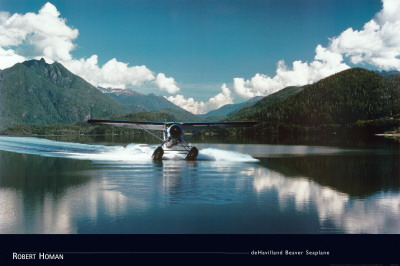 De Havilland Beaver Seaplane by Robert Homan Pricing Limited Edition Print image