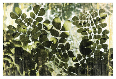 Dappled Radiance by Erin Clark Pricing Limited Edition Print image